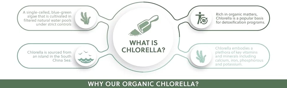 Organic Broken Cell Chlorella | 1200mg Organic Chlorella per 3 Capsule Dose | 60 Vegan Capsules | G&G Vitamins - Chlorella