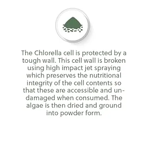 Organic Broken Cell Chlorella | 1200mg Organic Chlorella per 3 Capsule Dose | 60 Vegan Capsules | G&G Vitamins - Chlorella
