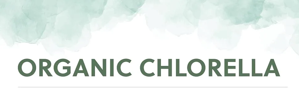 Organic Broken Cell Chlorella | 1200mg Organic Chlorella per 3 Capsule Dose | 60 Vegan Capsules | G&G Vitamins - Organic Chlorella