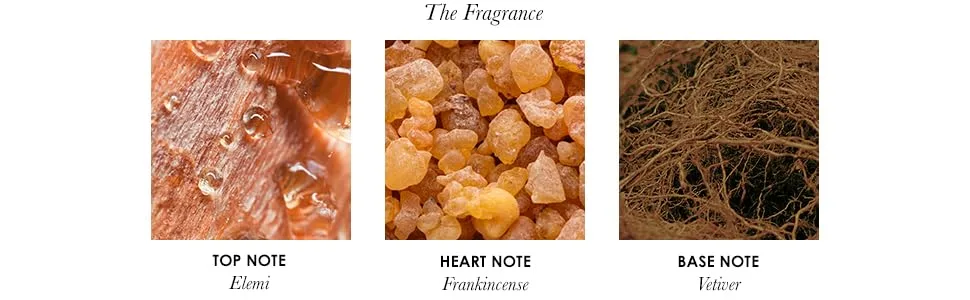 Molton Brown Festive Frankincense and Allspice Hand Lotion Old Version - product information 2