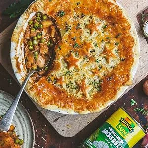 Tropical Sun Young Green Jackfruit in Water 400g 400 g (Pack of 1) - Jackfruit Pot Pie
