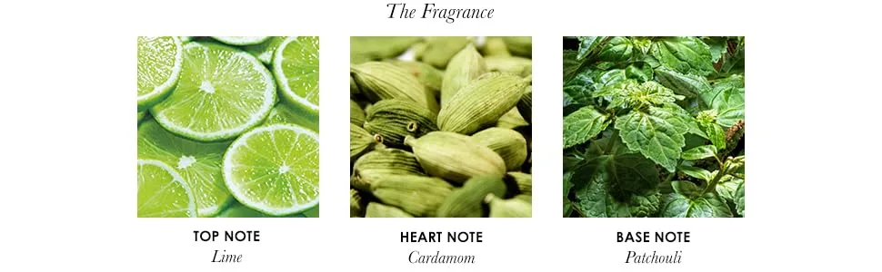 Molton Brown Lime and Patchouli Fine Liquid Hand Wash 300 ml New Version - product information 2