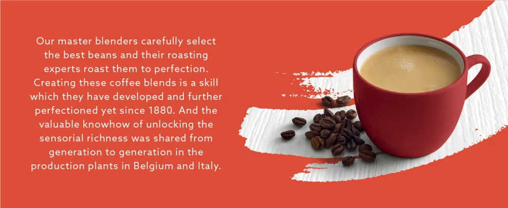 by Amazon House Blend Coffee Beans Medium Roast 1kg Rainforest Alliance Certified (Previously Solimo brand) House Blend 1 kg (Pack of 1) - product information 3