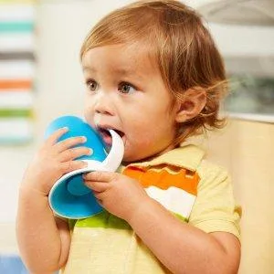 Munchkin Stay Put Suction Bowl 3 Pack Purple/Blue/Green 3 Count (Pack of 1) - product information 14