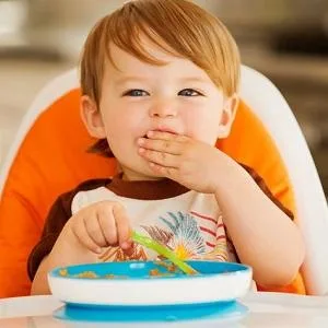 Munchkin Stay Put Suction Bowl 3 Pack Purple/Blue/Green 3 Count (Pack of 1) - product information 2