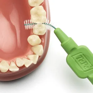TePe Interdental Brush Original Green 0.8 mm/ISO 5 8pcs plaque removal efficient clean between the teeth tooth floss for narrow gaps 8 count (Pack of 1) Green (Size 5) - tepe interdental cleaning