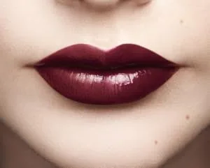 L'Oreal Paris Infallible Vampies Lip Paint Black Widow 113 113 Black Widow 8 ml (Pack of 1) - product information 5