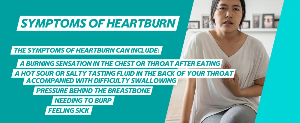 Gaviscon Liquid Heartburn & Indigestion Relief Aniseed Flavour Liquid 300ml 300 ml (Pack of 1) - gaviscon