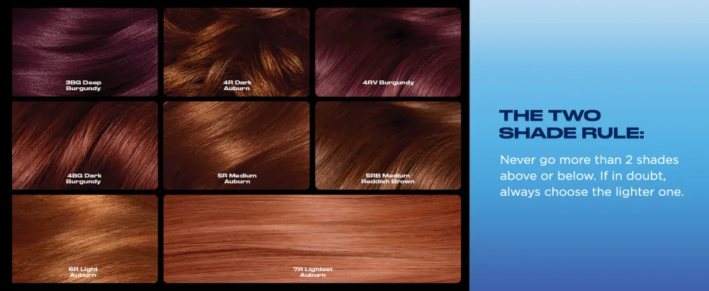 Clairol Nice'n Easy Cr me Permanent Hair Dye 6 Light Brown 220g 6 Light Brown 1 count (Pack of 1) - product information 10