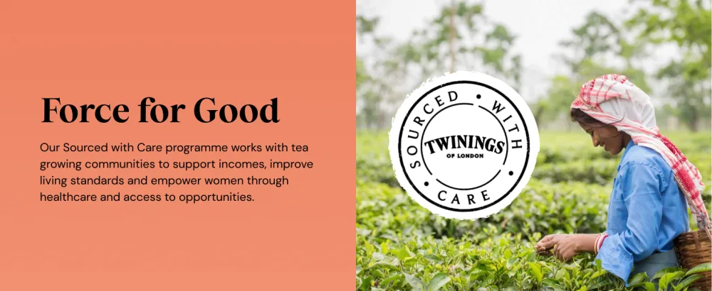 Twinings Superblends Matcha Green Tea 20 Teabags - product information 5