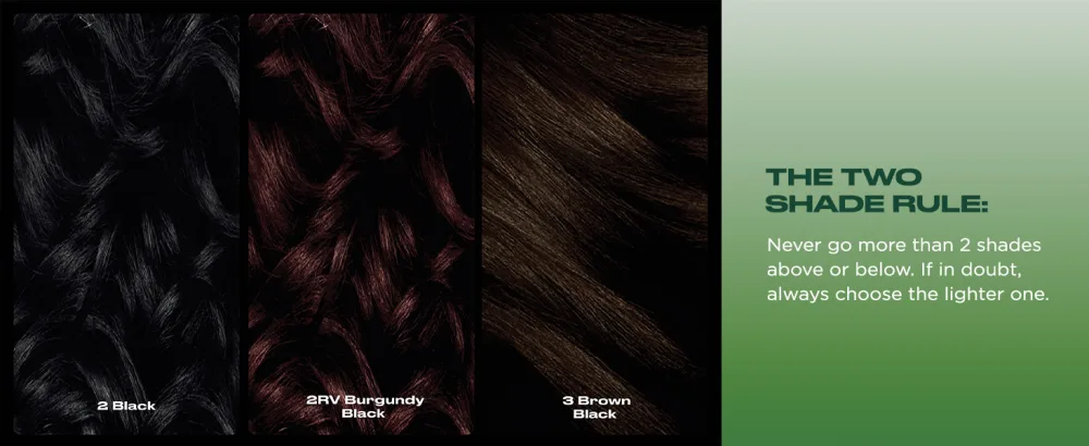 Clairol Natural Instincts Semi-Permanent No Ammonia Hair Dye 6A Light Ash Brown 6A Cool Cocoa 1 Count (Pack of 1) - product information 11