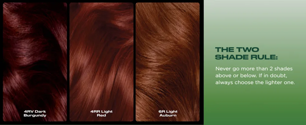 Clairol Natural Instincts Semi-Permanent No Ammonia Hair Dye 8A Medium Ash Blonde 8A California Beach 1 Count (Pack of 1) - product information 10