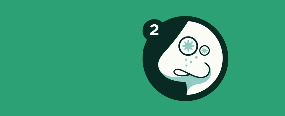 Lemsip Nasal Spray 20ML - Step 2