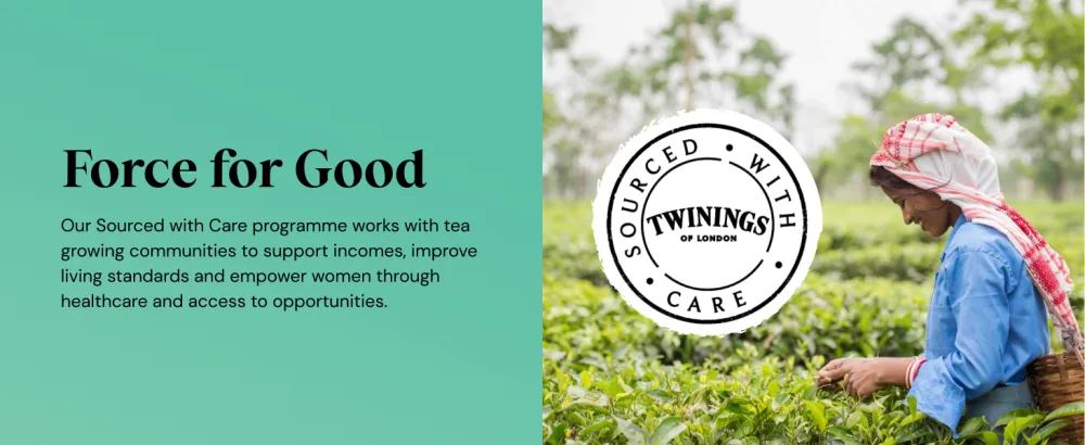Twinings Superblends Immune Support Tea - Blackcurrant Raspberry & Elderberry Herbal Tea Infusion with Echinacea Root & Vitamin D 80 x Biodegradable Tea Bags Immune Support 80 Count (Pack of 1) - product information 5
