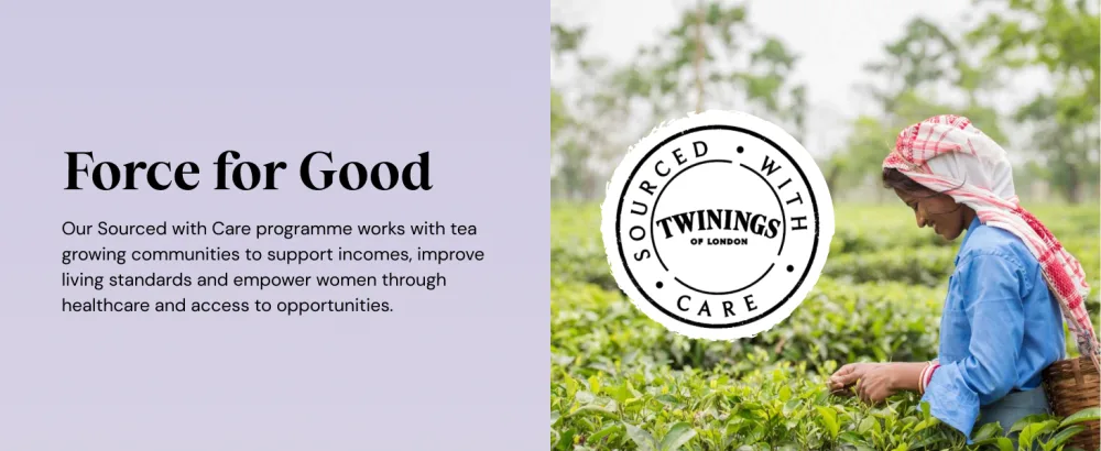 Twinings Wind Down Collection Tea Selection for Relaxation Sleep Calm & Unwind 20 Tea Bags - gdfg