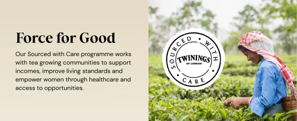 Twinings Earl Grey Full & Fragrant Earl Grey Tea Bags Large Pack 120 Biodegradable Tea Bags Earl Grey 120 Count (Pack of 1) - product information 6