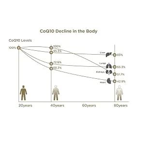 Wassen Coenzyme Q10 + Vitamin E - Active Coenzyme Formula - 30 Tablets - CoQ10 decline in the body graph