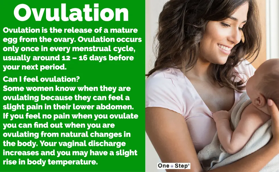 50 x One Step Highly Sensitive 20mIU Ovulation / Fertility Strip Tests (Wide Width). These are identical to what we supply to the NHS - Ovulation wide prod overview