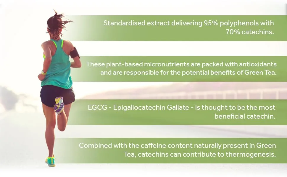 Green Tea Extract 7000mg Antioxidant 95% Polyphenols. 90 Vegan Green Tea Tablets. 3 Months Supply. - Standardised extract delivering 95% polyphenols with 70% catechins