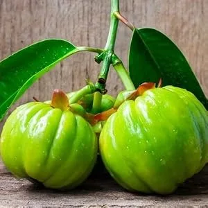 x6 Maximum Strength Garcinia Cambogia : Powerful Appetite Suppressant/Fat Burner (6 Month Supply) - garcinia cambogia hca
