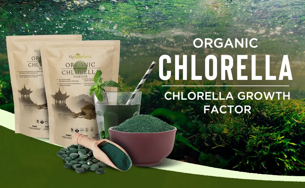 MySuperfoods Organic Chlorella Tablets (300 x 500mg) Natural Source of Protein 300 Count (Pack of 1) - Chlorella Powder