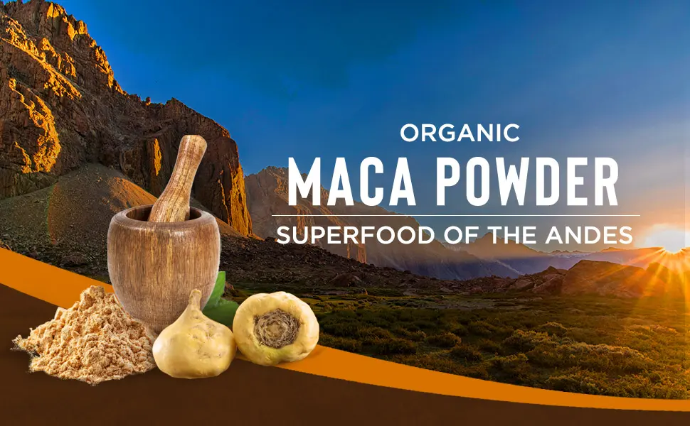 MySuperfoods Organic Maca Root Powder 500g Regular 500 g (Pack of 1) - header-ORGANIC MACA POWDER