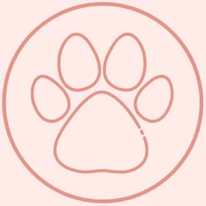 Cute Nutrition Meal Replacement Shake - Protein Shake High in Protein - Vanilla - Vitamins and Minerals - 500 g - Bonus E-book - by TummyTox - WE TAKE CARE OF ANIMALS