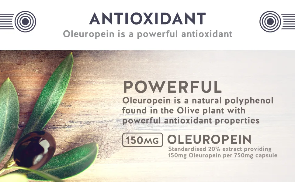 Olive Leaf Extract (Non-GMO) Super Strength: 20% Oleuropein - 750mg - Vegetarian - Antioxidant Support Supplement - No Oil - 60 Capsules - Olive Leaf Extract antioxidant with oleuropein and polyphenols