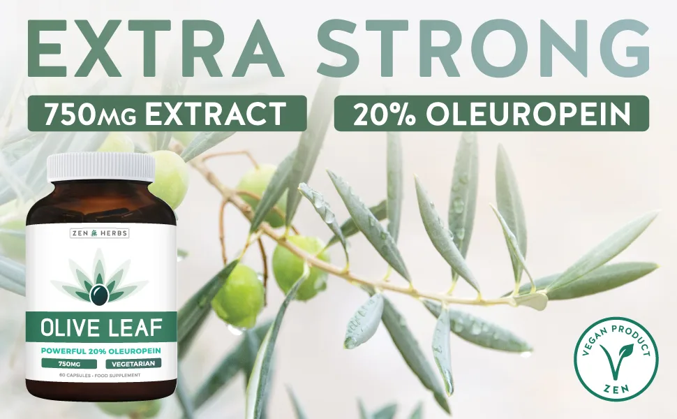 Olive Leaf Extract (Non-GMO) Super Strength: 20% Oleuropein - 750mg - Vegetarian - Antioxidant Support Supplement - No Oil - 60 Capsules - Zen Herbs extra strong Olive Leaf Extract 750mg 20% Oleuropein
