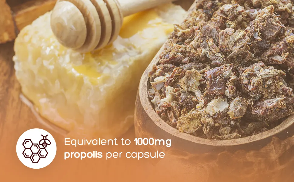 Bee Propolis - 2000mg Propolis equivalent per Serving - 3 month supply (180 Capsules / 90 Servings) - Natural Food Supplement - Bee Propolis Capsules 180 Count (Pack of 1) - bee propolis