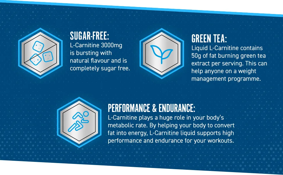 Applied Nutrition L Carnitine 3000 Liquid - L-Carnitine with Green Tea & Vitamin C Boosts Energy & Weight Management Vegan (480ml - 32 Servings) (Fruit Burst) - 017-L-Carnitine-Liquid-A+2