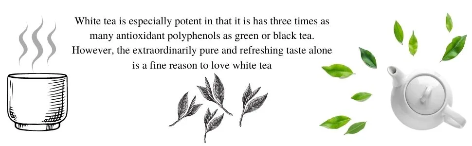 Pai Mu Tan White Loose Leaf Tea by Simpli-Special for Hot or Iced Tea (250g in Resealable Pouch) - Pai Mu Tan