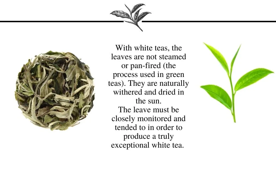 Pai Mu Tan White Loose Leaf Tea by Simpli-Special for Hot or Iced Tea (250g in Resealable Pouch) - Pai Mu Tan
