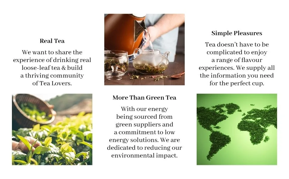 Pai Mu Tan White Loose Leaf Tea by Simpli-Special for Hot or Iced Tea (250g in Resealable Pouch) - Pai Mu Tan