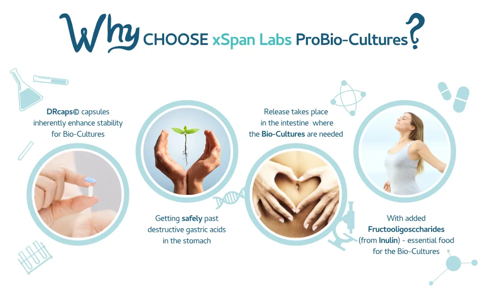 ProBio-Cultures 120 Capsules - High Strength 10 Billion Live CFU Multi-Strain Bio-Cultures + PreBio FOS Formula - Latest DRCaps Encapsulation to Protect from gastric acids - xspan labs ProBio-Cultures C