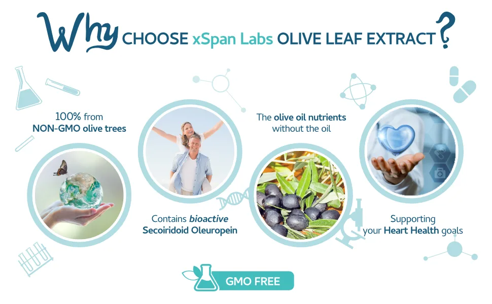 Olive Leaf Extract 450mg (6750mg Whole Leaf Equivalent) 60 Capsules - xspan labs Olive Leaf Extract C