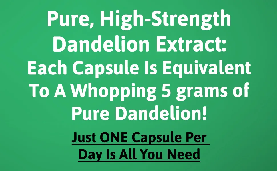 Dandelion Root Extract Capsules 500 mg 120 Capsules - dandelion root extract capsules