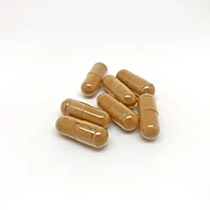 Dandelion Root Extract Capsules 500 mg 120 Capsules - dandelion root extract capsules