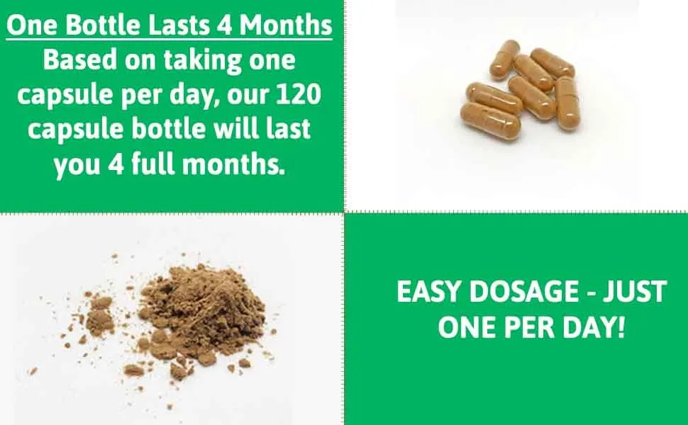 Dandelion Root Extract Capsules 500 mg 120 Capsules - dandelion root extract capsules one per day 500 mg
