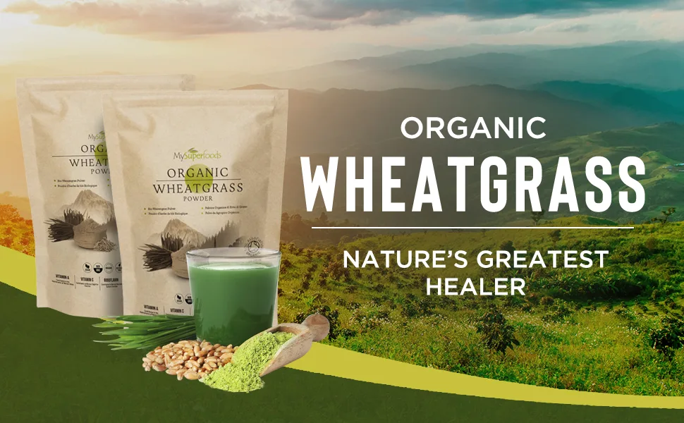 Wheatgrass Capsules | Organic | 1500mg per Serving | 180 Capsules | High Chlorophyll Content | MySuperfoods 180x500mg - Wheatgrass Powder