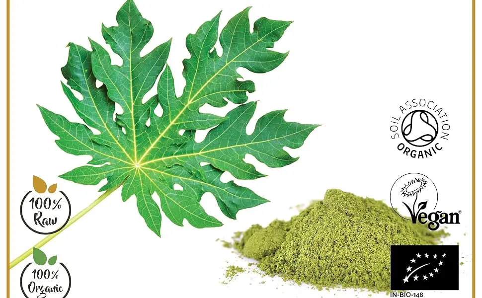 Ausha Organic Papaya Leaf Powder 100gm | Platelet Digestion Immunity | Certified by Soil Association - Papaya