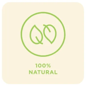 GOOD GOOD Sweet Forest Fruit Jam - Keto Friendly - Low Calorie Without Added Sugars - Vegan - Gluten Free - Preserves Forest Fruits - 100% Natural