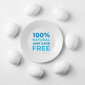 Eggylicious Egg White (Albumin) Powder Dried Natural Protein Powder Made from Fresh Eggs Pasteurized Non-GMO No Additives Used for Baking Icing 1lbs(16oz) - product information 4