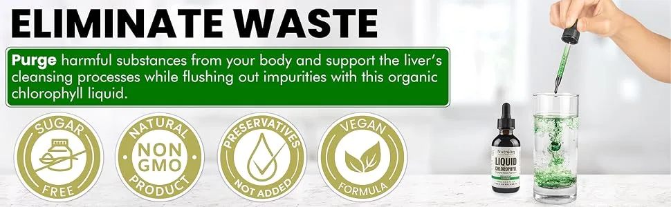 Nutroliq Liquid Chlorophyll Drops for Water - Herbal Extract Promoting Healthy Weight Management Immune System - Energy & Cleansing Support - Non-GMO Zero Sugar - 60ml Natural Peppermint Flavor - Chlorophyll