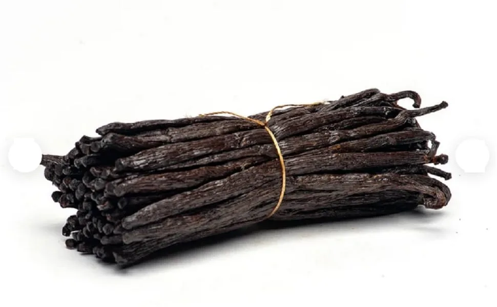 Special Ingredients Vanilla Bean Pods x10 Grade A Bourbon Variety Premium Quality Extra Large 16cm Plus Vegan Non GMO - Recyclable Pouch - Special Ingredients Vanilla Pods