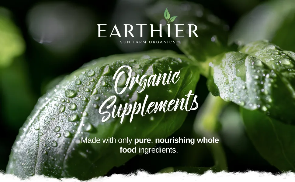 Organic Vitamin B Complex from Whole Foods - Blend of All 8 B Vitamins per Capsule - Vegan - 60 Capsules - Earthier Supplements