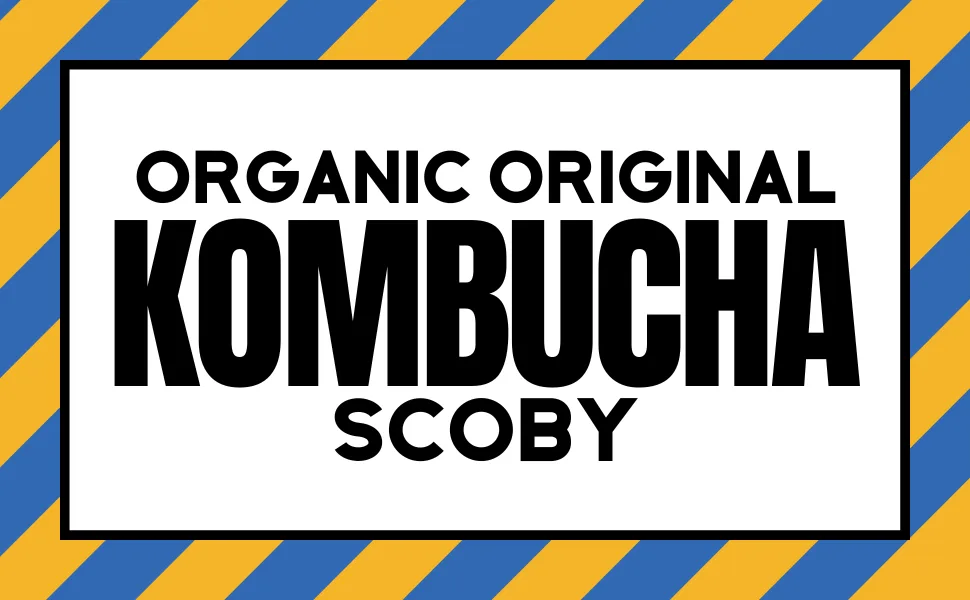 Organic Kombucha SCOBY (5L) - product information 1
