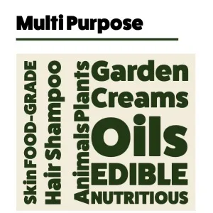 MCT Oil 100ml Liquid Fractionated Coconut Oil - Multi-Purpose