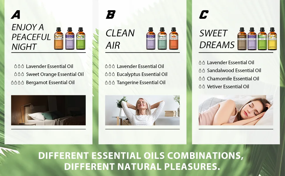 PHATOIL Pine Needles Essential Oil 30ML Therapeutic Grade 100% Pure Natural Essential Oils for Diffusers for Home Perfect for Diffuser Aromatherapy Relaxation Pack of 1 Pine Needles 30.00 ml (Pack of 1) - product information 2