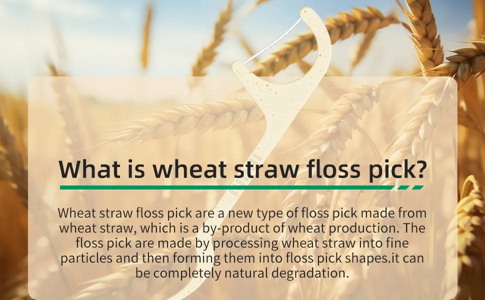 Dental Floss Sticks Floss Picks Dental Floss Toothpick Mint Natural Eco-Friendly Vegan Sustainable Dental Floss Teeth Stick(100 Picks) - product information 2